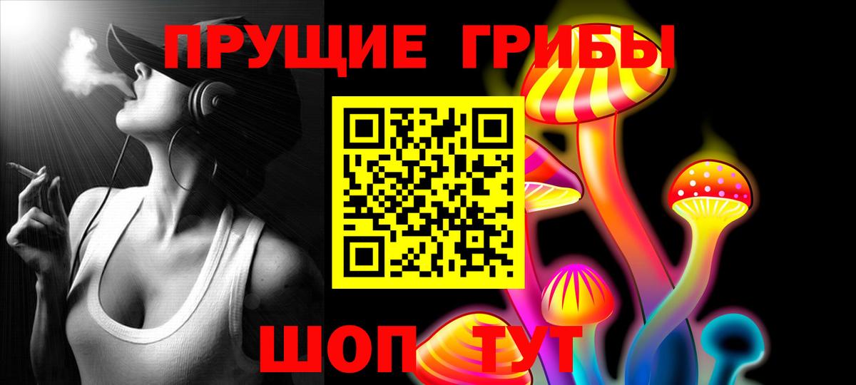 Псилоцибиновые грибы Psilocybe  Вход с VPN  Псилоцибиновые грибы Magic Shrooms  Мичуринск 